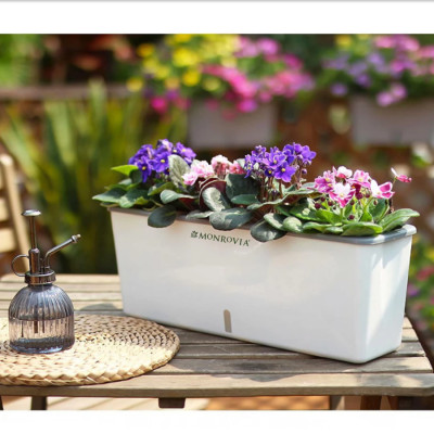 Chậu trồng cây tự tưới hình chữ nhật MONROVIA SC06, chất liệu PP cao cấp, phù hợp trồng hoa, rau