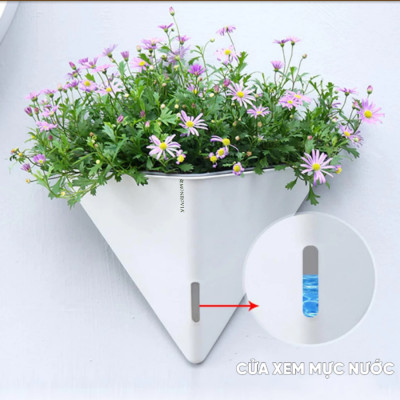 Chậu tự tưới treo tường tam giác MONROVIA K104, chất liệu PP, móc treo tiện lợi, trồng hoa, cây cảnh