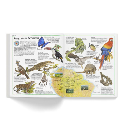 Sách - Atlas Động Vật - Đông A