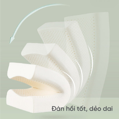 Gối nằm Cao Su Thiên Nhiên Tatana Cong Thái Học size 40x60 cm ,Chống Đau Cổ Vai Gáy ,Vỏ Áo Làm Mát, Thoáng Khí Êm Ái