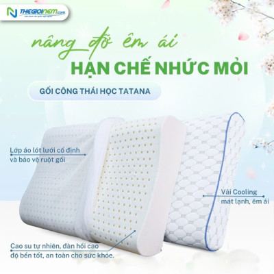 Gối nằm Cao Su Thiên Nhiên Tatana Cong Thái Học size 40x60 cm ,Chống Đau Cổ Vai Gáy ,Vỏ Áo Làm Mát, Thoáng Khí Êm Ái