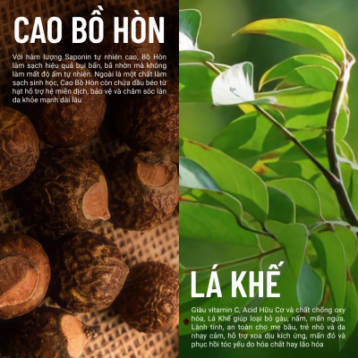 Kem Ủ Xả Lá Khế Bồ Hòn Heebee