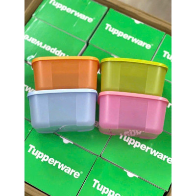 Sét 4 hộp nhựa đựng thực phẩm trữ đông dung tích 700ml