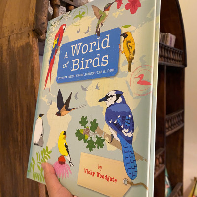 Sách - A World of Birds by Vicky Woodgate | Children