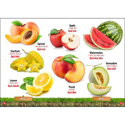 Combo 4 Cuốn: Chữ Cái Và Số Đếm - Khám Phá Ngôi Nhà Của Bé - Hoa Quả Rau Củ - Phương Tiện Giao Thông