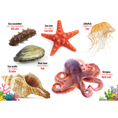 Trọn Bộ Từ Điển -Thư Viện Hình Ảnh Song Ngữ Đầu Tiên Của Bé ( bộ 8 cuốn)