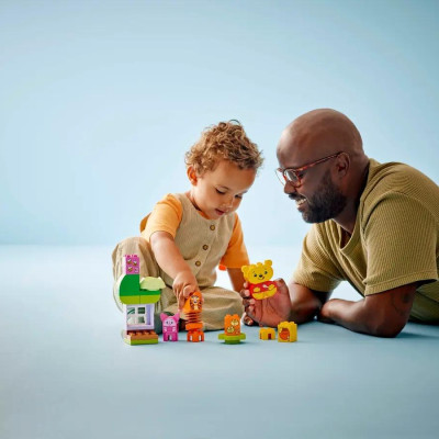 Đồ Chơi Lắp Ráp Tiệc Sinh Nhật Gấu Pooh - Winnie The Pooh