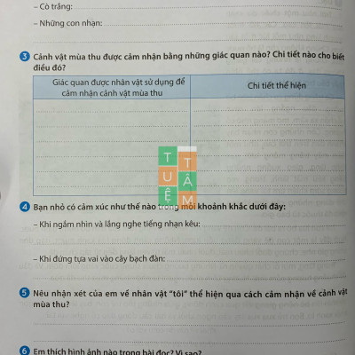 Sách - Tiếng Việt 5 dành cho buổi học thứ hai (Kết nối tri thức với cuộc sống)