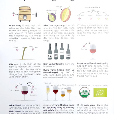 Wine Folly Toàn Tập - Phiên Bản Magnum - Bìa Cứng (Tái Bản 2023)