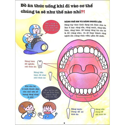 Khám Phá Bí Ẩn Cơ Thể Người (Tái Bản)