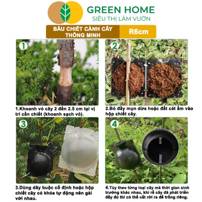 Bầu Chiết Cành GreenHome, R6cm(1 Thùng 100 CÁI), Tăng Khả Năng Ra Rễ, Phù Hợp Với Mai Vàng, Ổi, Mận
