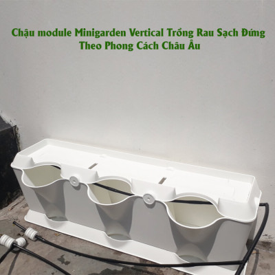CHẬU MODULE TRỒNG RAU BAN CÔNG NHẬP KHẨU BỒ ĐÀO NHA (1 BỘ gồm 1 Module + Nắp đậy + 6 nút khóa)