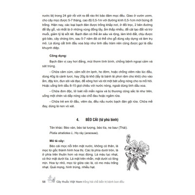 Sách - Cây thuốc V,iệt Nam trồng hái chế biến tr,ị bệnh ban đầu (bìa cứng) ( MT)