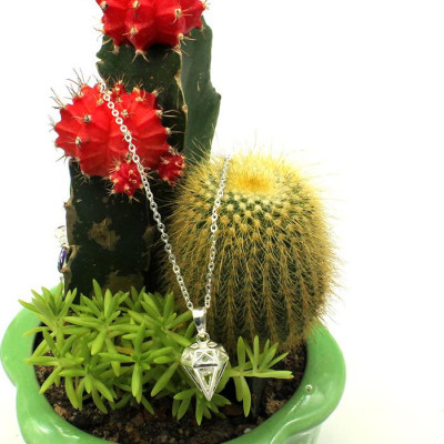 Dây Và Mặt Dây Chuyền Bạc Hiểu Minh DMD319 bạc ta