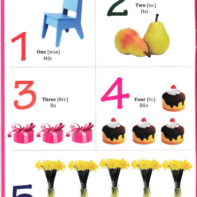 Từ Điển Anh Việt Bằng Hình Ảnh