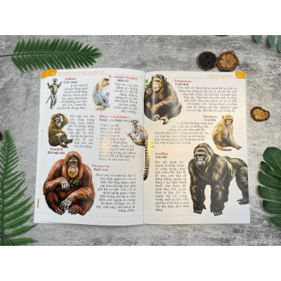 Sách - Bách Khoa Thư Về Thế Giới Động Vật - Bìa Mềm - Đăng Khôi - Việt Thư