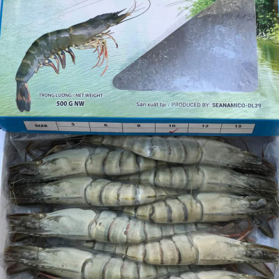 Tôm sú nguyên con sinh thái Seaprodex kích cỡ 10 con/hộp, 500gr
