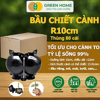 Bầu Chiết Cành GreenHome, R10cm(1 Thùng 80 CÁI), Tăng Khả Năng Ra Rễ,Phù Hợp Với Xoài, Mít,Sầu Riêng