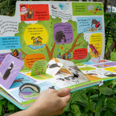 Sách - Lift-The-Flap - Lật Mở Khám Phá - Những Kiến Thức Đầu Đời - Những Loài Vật Đáng Kinh Ngạc