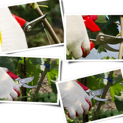 Kéo cắt tỉa cây cảnh Hàn Quốc S-250 làm bằng thép SK5 , cắt tỉa bonsai, cắt cây đa năng