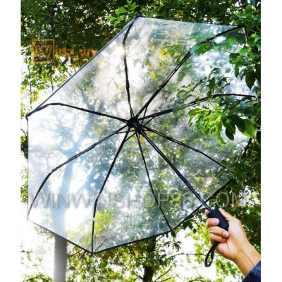 Dù gấp trong suốt siêu gọn - Winz.vn