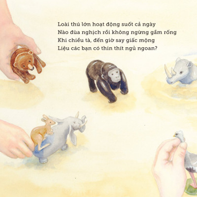 Ngủ Ấm Ngủ Êm