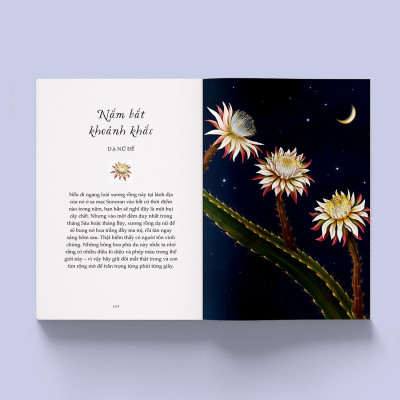 Sách - Vươn Mình Như Những Đoá Hoa - Những Bài Học Nhỏ Để Có Nguồn Vui Và An Lành Bất Tận