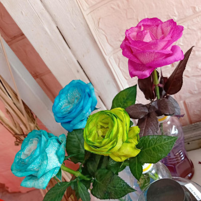 Nước Nhuộm Hoa Tươi Màu Hồng (Set 2 Chai) theo công nghệ Israel Color Sodium For Fresh Flowers giúp nhuộm đổi màu hoa cắt cành thành màu hồng đậm Pink