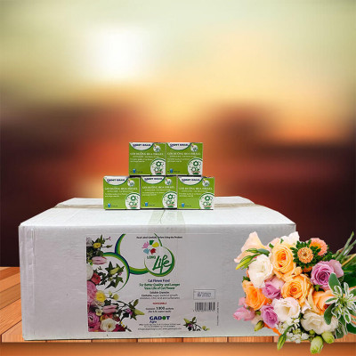 Giá Sỉ Thuốc dưỡng hoa Longlife Gói 5gr (1 thùng 1.000 gói) Hiệu LongLife Israel là bí quyết giúp hoa cắm bình lâu tàn và 14 ngày không thay nước mới tại vưa sỉ hoa