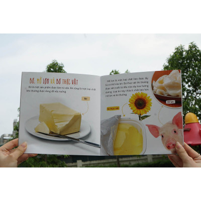 Combo (6 Tập): Healthy eating - Ăn uống lành mạnh