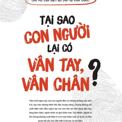 Không Có Câu Hỏi Nào Ngớ Ngẩn - Tập 2