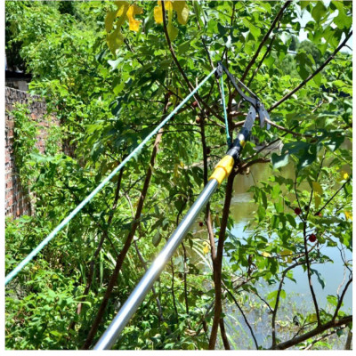 Loại Tốt: Bộ Đầu Kéo Cắt Cành Tỉa Cây Hái Hoa Quả Trên Cao