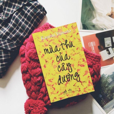 Sách - Mùa thu của cây dương (TB 2021) (Nhã Nam HCM)