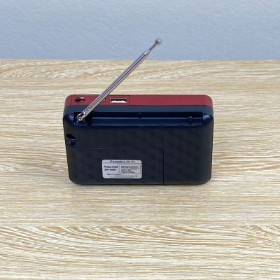 Đài Radio đọc thẻ nhớ SONY SW-69BT ( Hàng Chính Hãng )