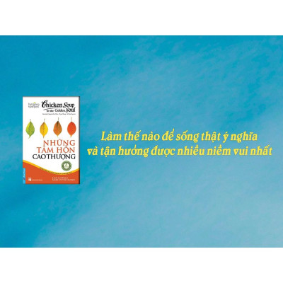 Chicken Soup For The Golden Soul 8  Bản Quyền