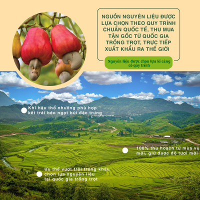 Hạt Điều Không Muối 454g Dan D Pak