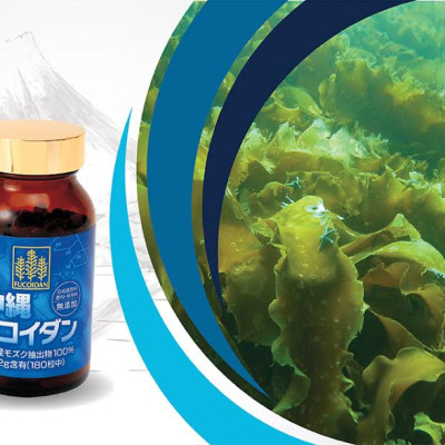 Combo Viên Uống Kanehide Bio Fucoidan Okinawa Hộp 180v Và Nano 30 Gói  Hỗ Trợ Ức Chế Tăng Trưởng Tế Bào Ung Thư, Tăng Cường Hệ Miễn Dịch, Đề Kháng Cho Cơ Thể.