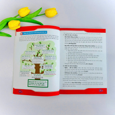 Combo 2 sách Chinh phục điểm 10 đề kiểm tra học kì Tiếng việt và Toán 2(KNTT)