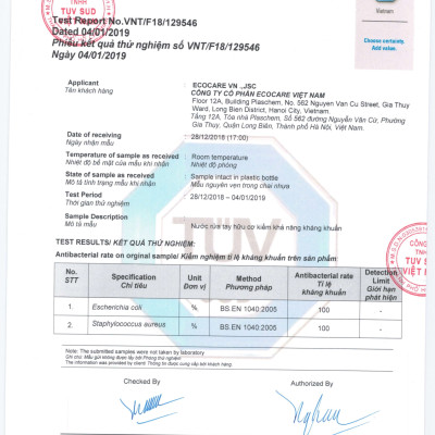 Nước rửa tay hữu cơ diệt khuẩn dạng bọt hương Nhài 4L thương hiệu Ecocare