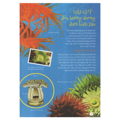 Động Vật Xinh Đẹp (HH)