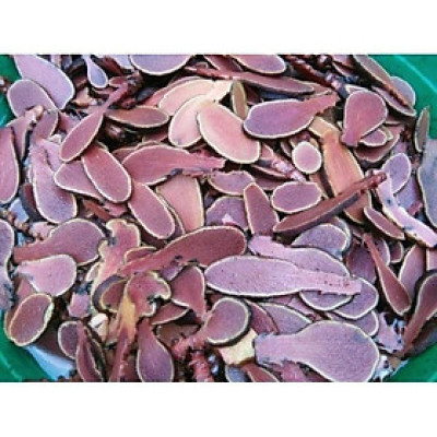 cây nấm ngọc cẩu tím khô 1kg