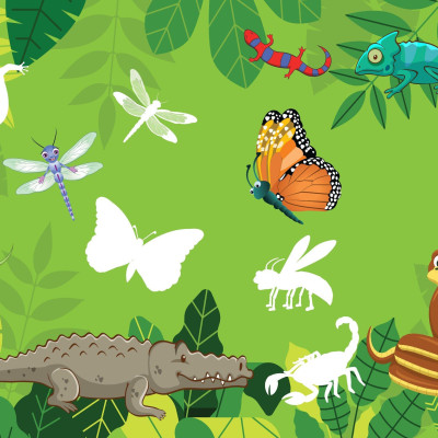 Sticker Dán Hình Thông Minh - Thế Giới Động Vật - Côn Trùng, Bò Sát, Lưỡng Cư