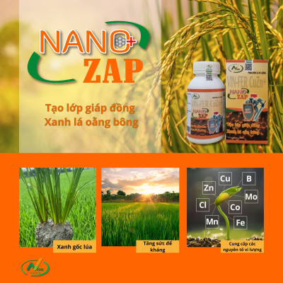 Bộ sản phẩm giúp LÚA TRỔ ĐỀU, CHỐNG LẸP XẸP hiệu quả và tiết kiệm chi phí