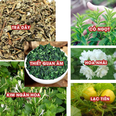 [4 Túi Tặng 1] 4 Túi Trà Thảo Mộc Kingtea Tốt cho Dạ Dày, Ổn Định Huyết Áp, Hạ Men Gan , Mỡ Máu Và Ngăn Ngừa Ung Thư Giúp Ngủ Ngon