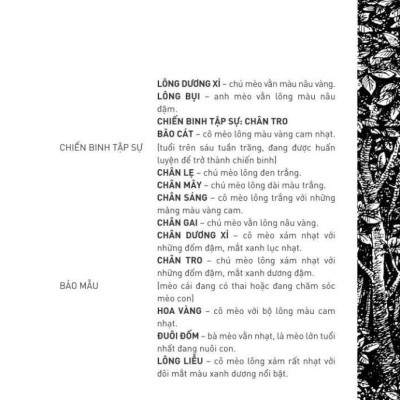 Mèo Chiến Binh - Con Đường Hiểm Nguy