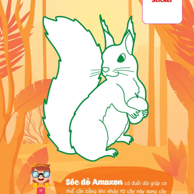 Con Tô Màu - Thám Hiểm Amazon