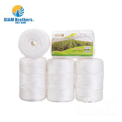 Dây treo dưa lưới, dây treo cà chua, sợi se nông nghiệp siêu bền