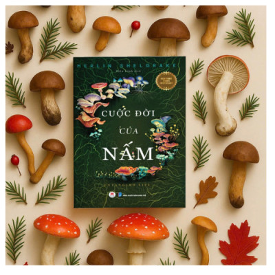 Cuộc Đời Của Nấm (HH)
