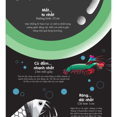 100 Bí Ẩn Đáng Kinh Ngạc Về Các Đại Dương - 100 Things To Know About The Oceans