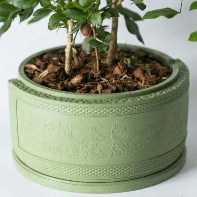 Chậu cây xi măng bậc thang hoạ tiết Trống Đồng Đông Sơn, ngang 18.4cm cao 8,5 cm, Chậu cây để bàn cho hoa, cây cảnh, ban công, bonsai